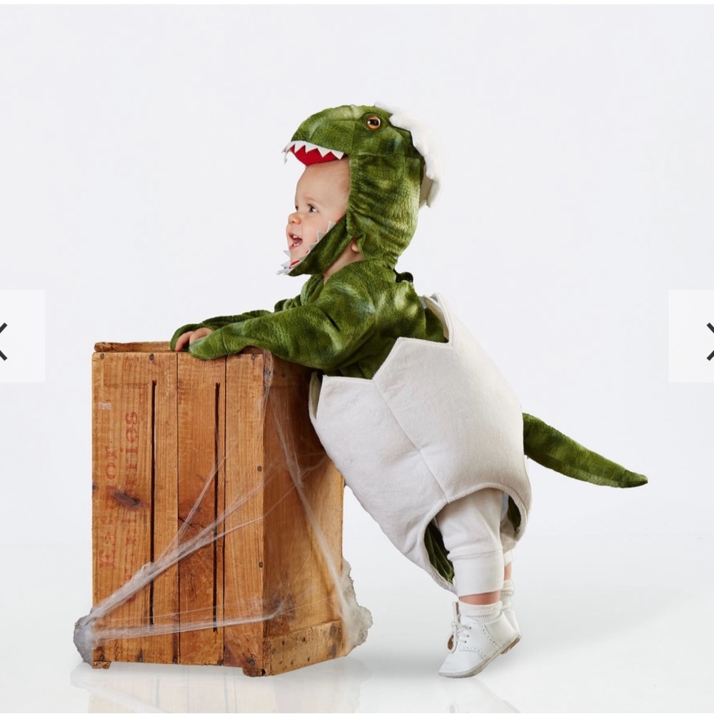 Green Dinosaur Baby Costume
